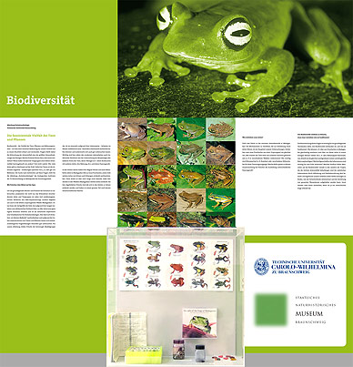 science cubes | braunschweig stadt der wissenschaft 2007